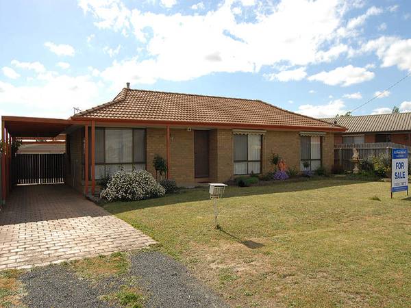 Fantastic Outdoor Entertaining and Shedding Picture