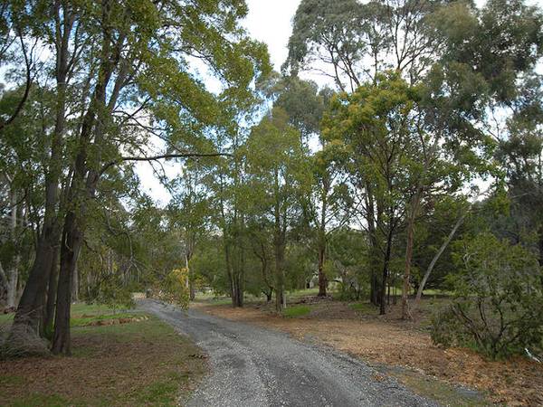 Grand Home - Huge Living Areas - Pool - Acres Picture