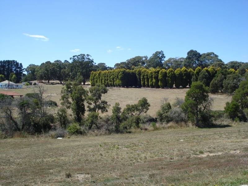Panoramic Boutique Building Block - 5 Minutes to CBD Picture 2