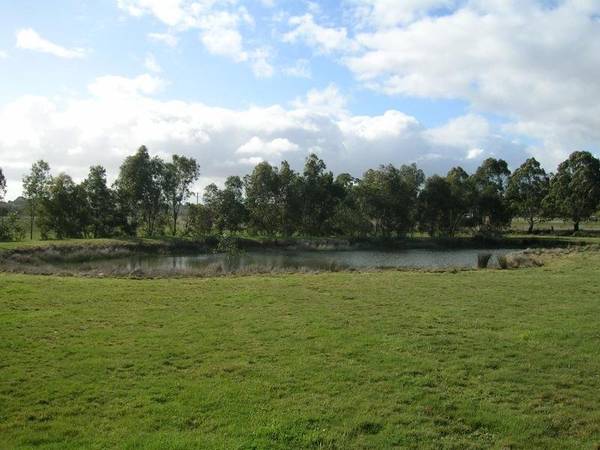 Huge Gallery and Shedding Picture Huge Gallery and Shedding Picture