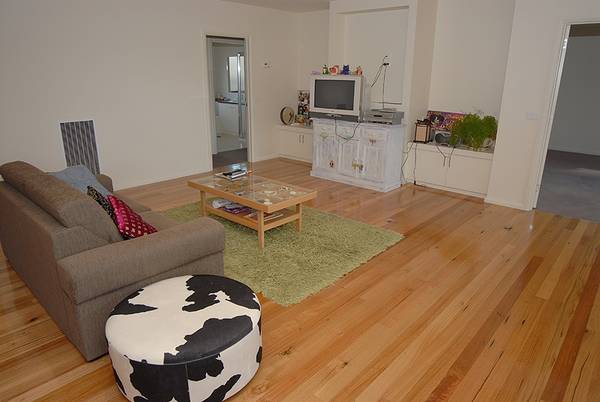 Family Home Amongst The Gums Picture