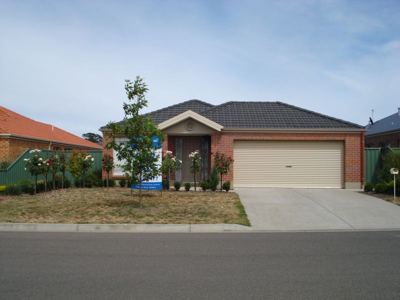 Surprise Package in Lake Gardens Locale Picture 1