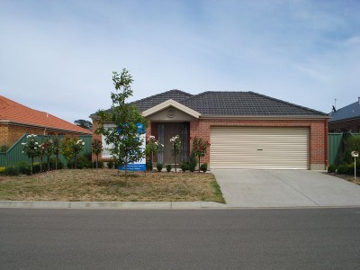 Surprise Package in Lake Gardens Locale Picture