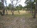 Exclusive Invermay Acreage - Town Water Picture