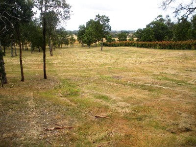 Exclusive Invermay Acreage - Town Water Picture