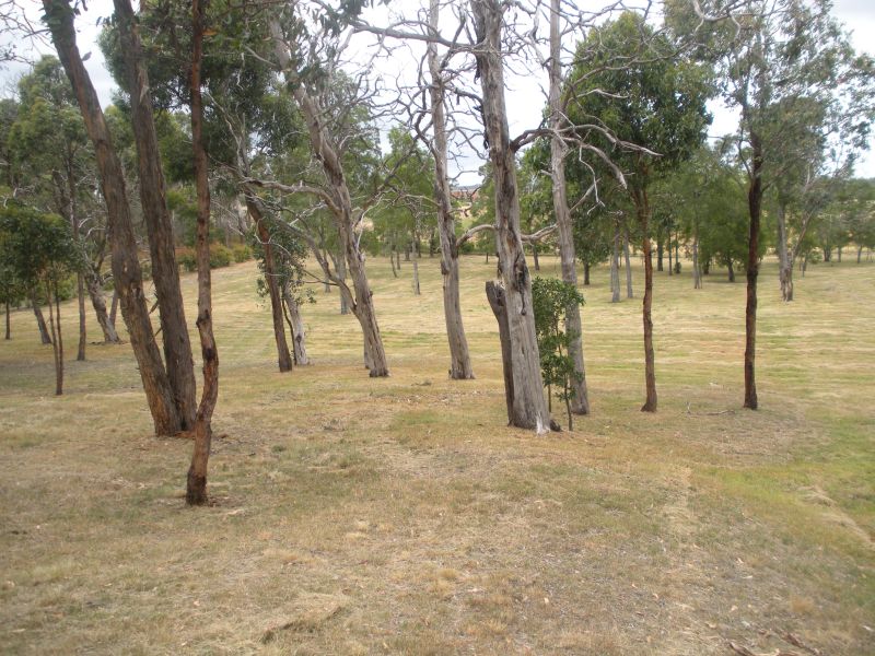 Exclusive Invermay Acreage - Town Water Picture 2