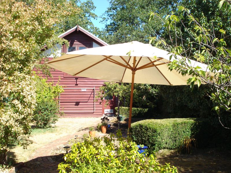 Presenting The Magnificent "Quamby" Picture 2