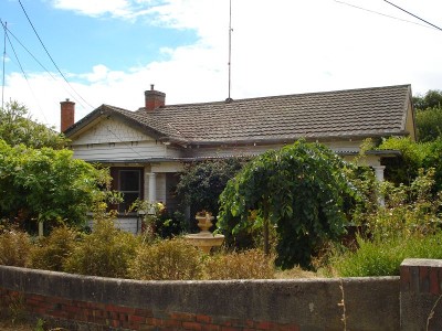 What a Bargain!! Picture