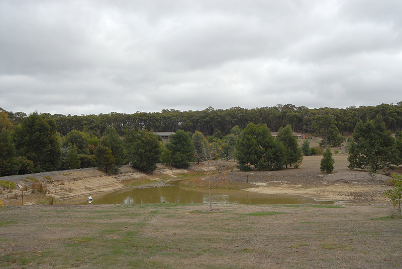 Your Own Private Wonderland on Six Stunning Acres Picture 3