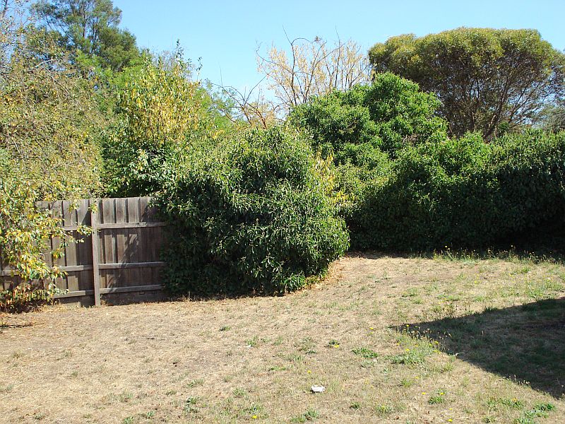 Potential Plus in Quiet Central South Location Picture 3