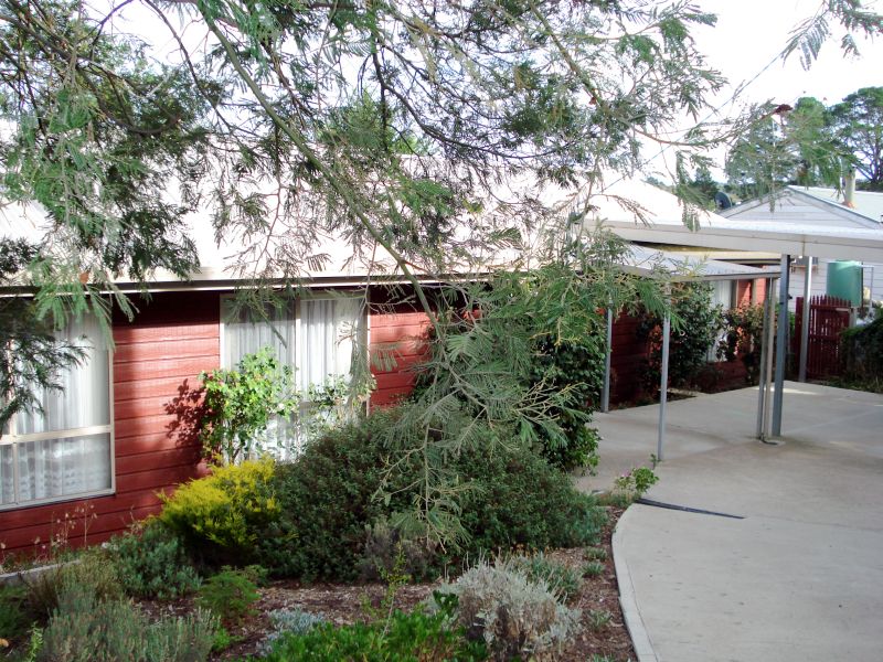 Immaculate Home On Quarter Acre With Swimming Pool Picture 1