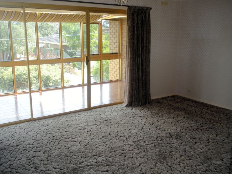 True Family Home on Great Block Picture 3