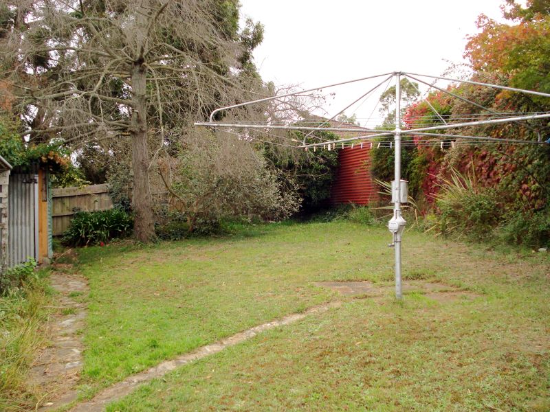 Character Filled Home in Great Central Position Picture 3