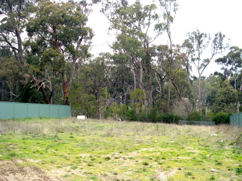 991m2 Building Block in Canadian Picture 3