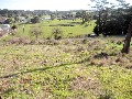 Just Look at the Views - 1/2 Acre (Approx) Picture
