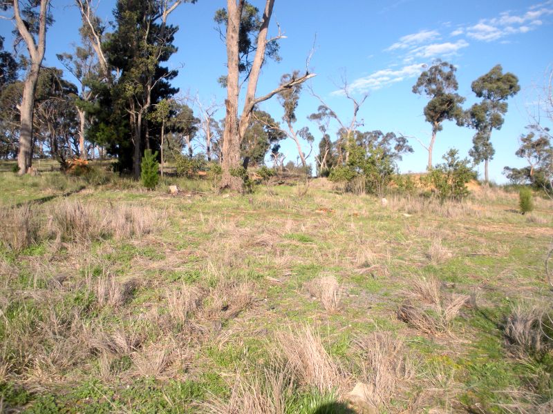 Just Look at the Views - 1/2 Acre (Approx) Picture 3