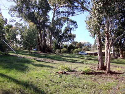 Nestled Amongst the Gums - Build Your Dream Home Picture