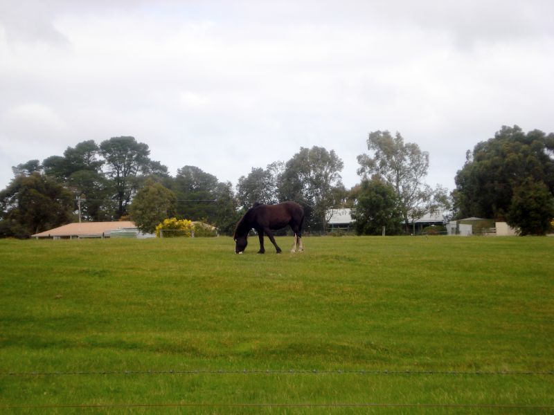 Elevated Building Block in Smythesdale Picture 1