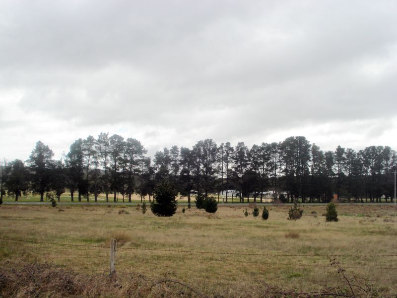 Elevated Building Block in Smythesdale Picture 2