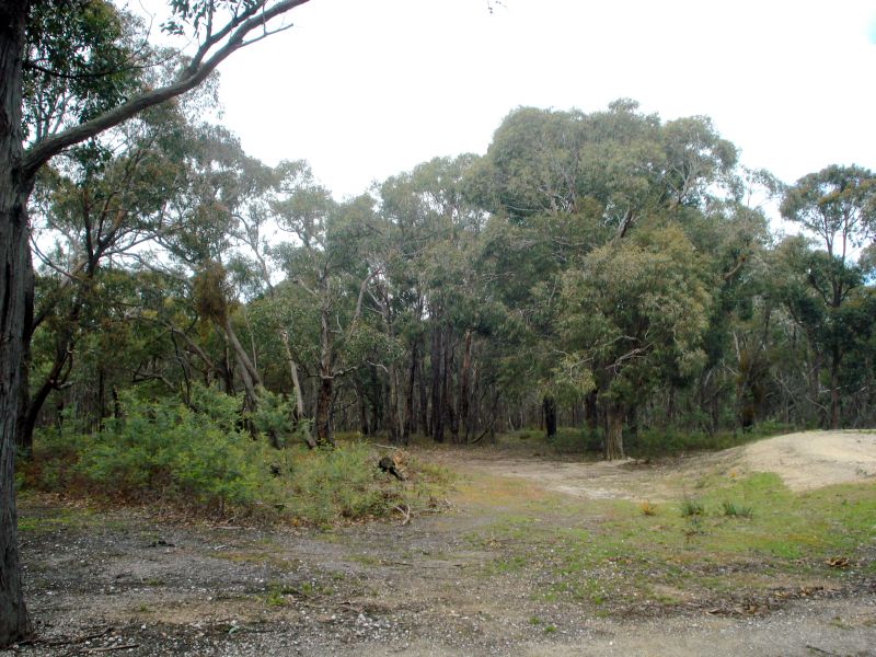 Perfect Escape on 8 Acres(Dereel) Picture 3