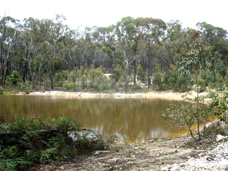 Natural Oasis - 40 Acres Picture 1