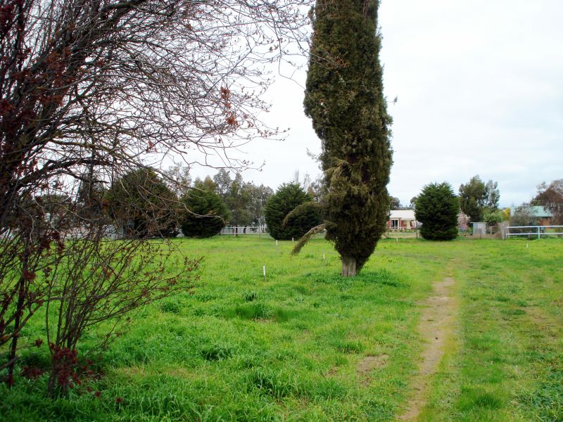 Fantastic New Land Release - Build Your Dream Home Picture 2