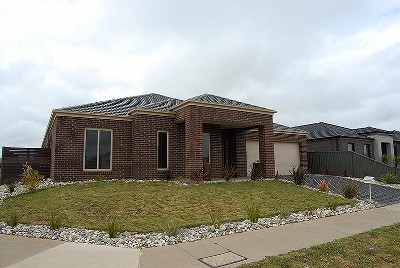 Everything a Growing Family Needs Picture