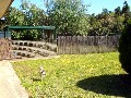 Updated and Bright on Great Sized Allotment Picture