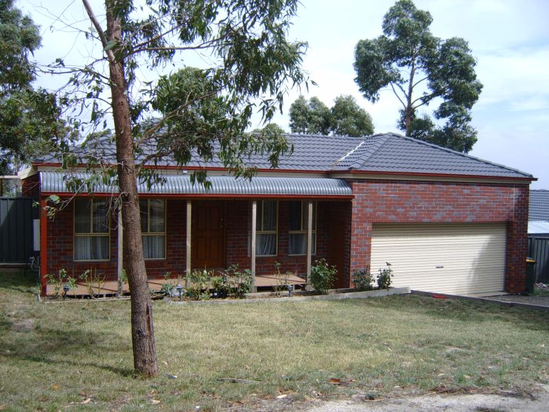 Bush Setting - Close to Uni & IBM Picture 3