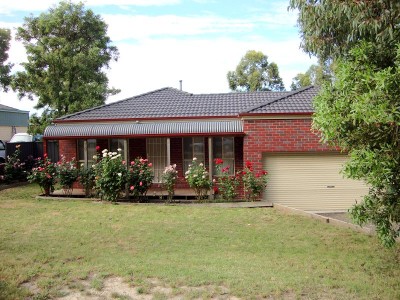 Bush Setting - Close to Uni & IBM Picture Bush Setting - Close to Uni & IBM Picture