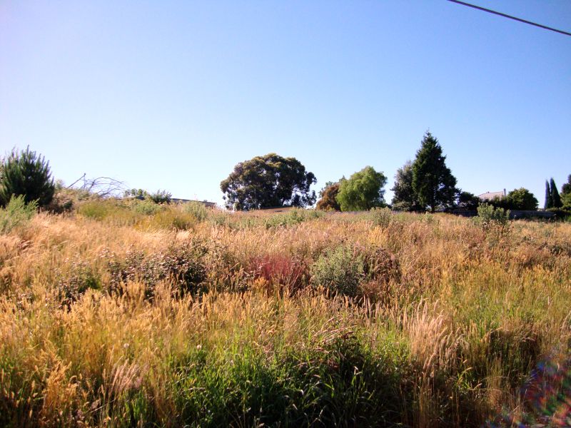 Development Site With Permit For Six Townhouses Picture 2