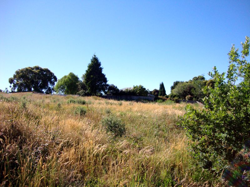 Development Site With Permit For Six Townhouses Picture 1