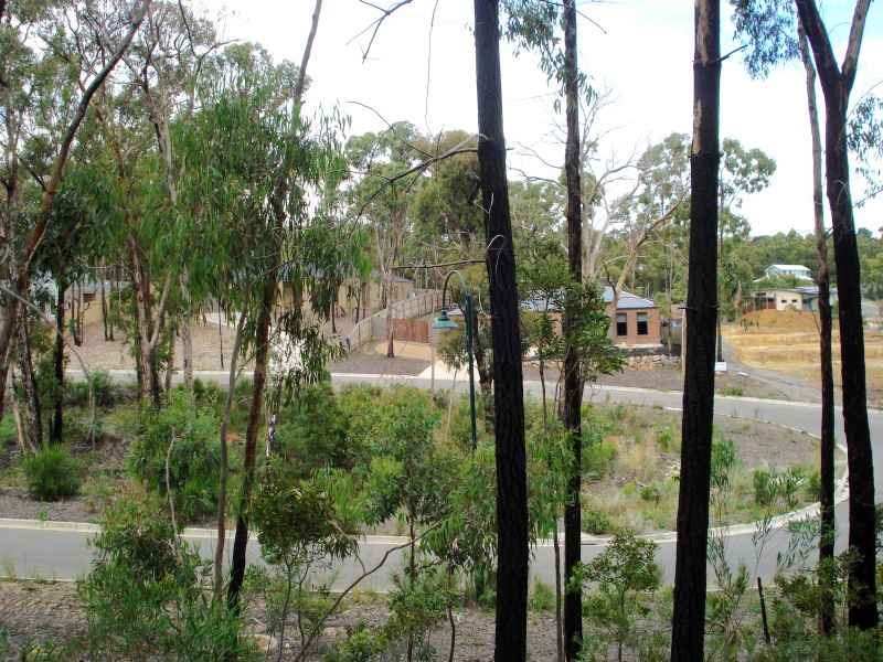 Your Chance to be a Part of Nature Picture 1