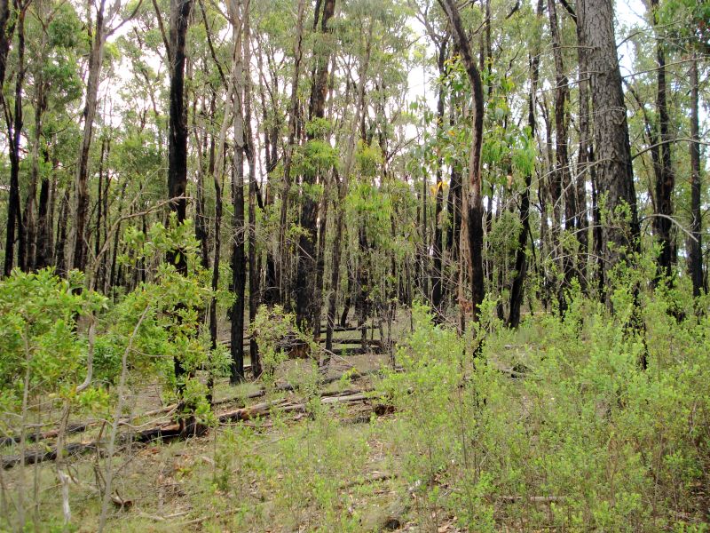 Your Chance to be a Part of Nature Picture 3