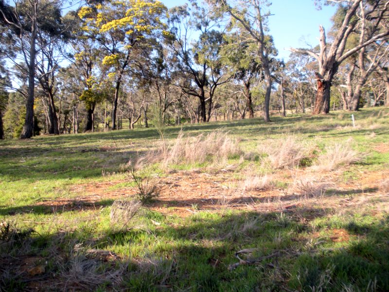 Build a Beautiful Home here Picture 1