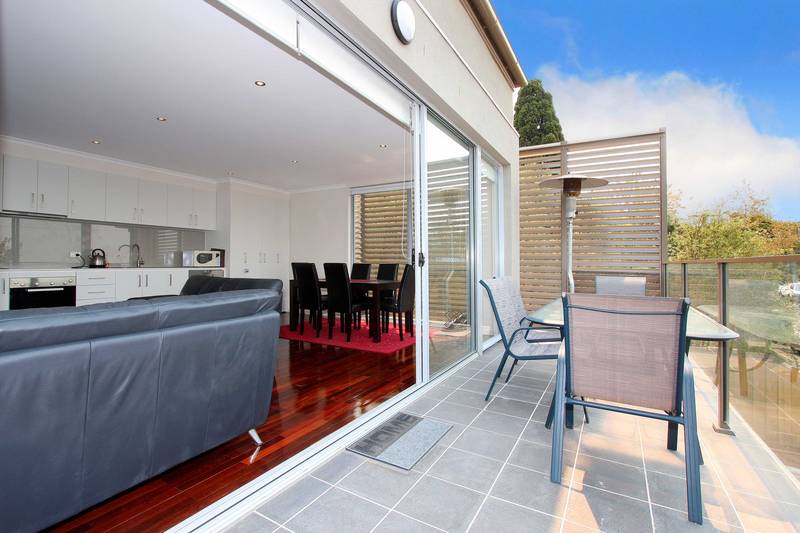 The Ideal Entertainer Picture 2