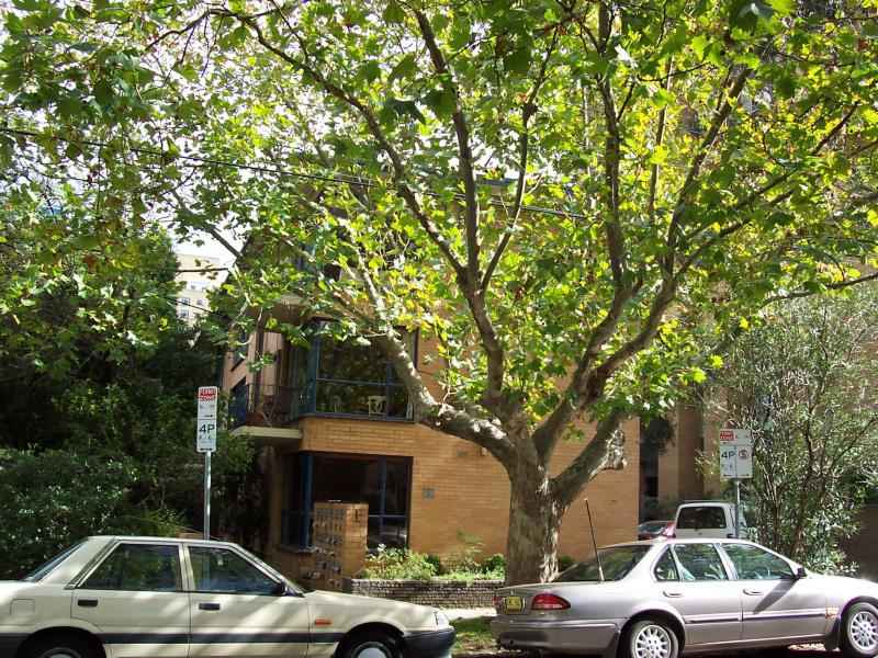 FULLY FURNISHED - AVAILABLE 3RD DECEMBER Picture 1