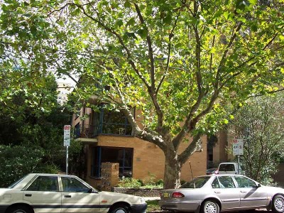 FULLY FURNISHED - AVAILABLE 3RD DECEMBER Picture