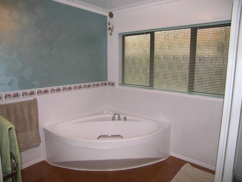 CONIFER & CLASSY Picture