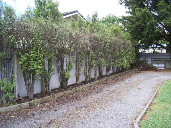 Private Home Picture