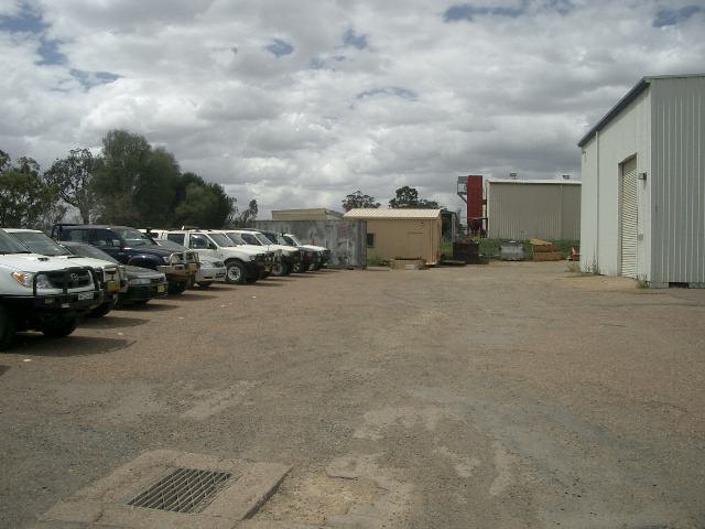 BLUE CHIP INVESTMENT Picture 2