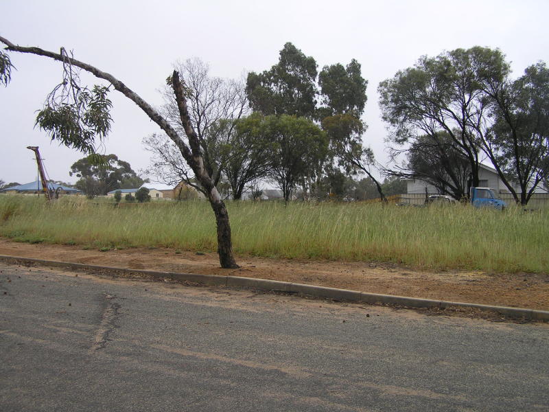 " NEAT CHEAP
BUILDING BLOCK" Picture 1