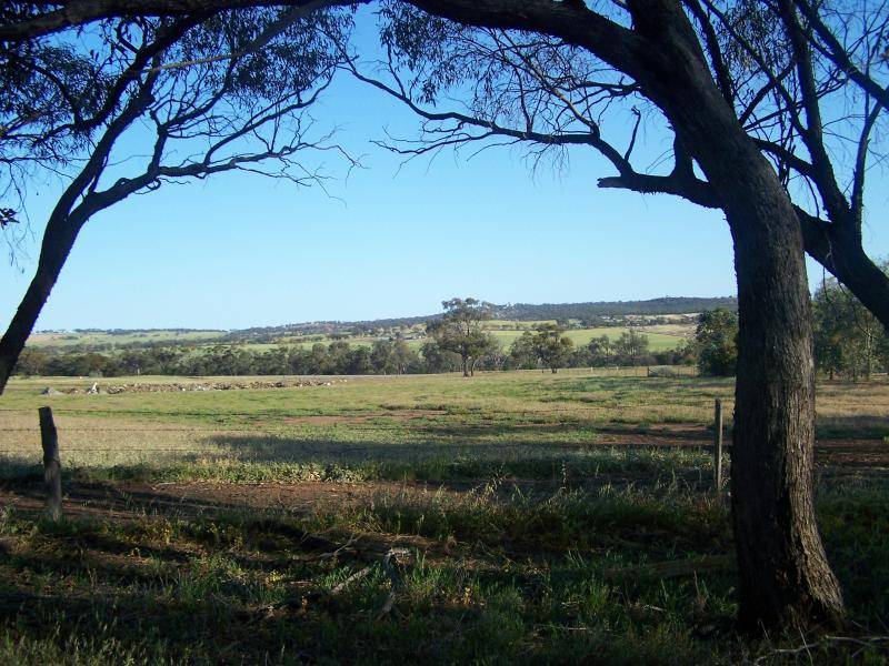 10 ACRES OF PARADISE Picture 1