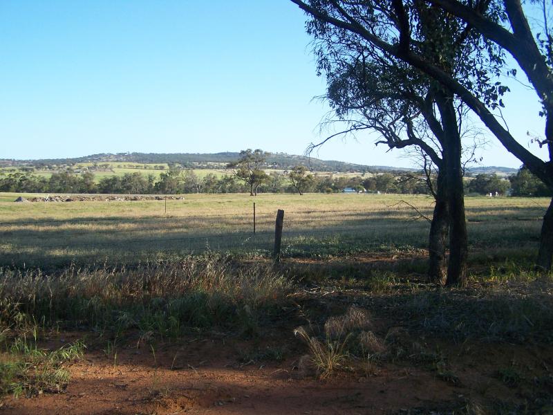 10 ACRES OF PARADISE Picture 2