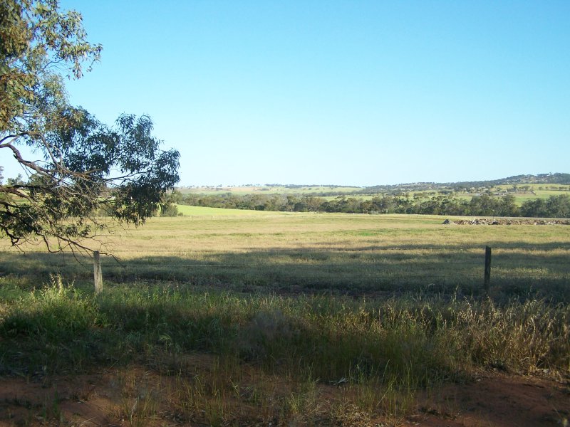 10 ACRES OF PARADISE Picture 3