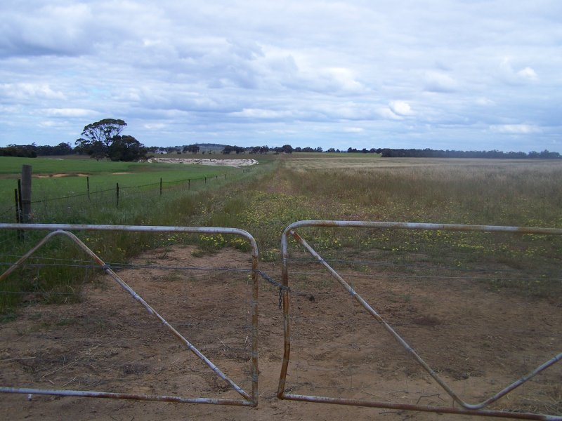 100 ACRES WESTDALE Picture 3