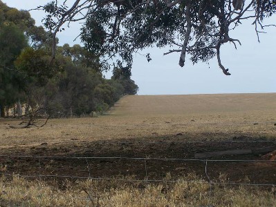 130 ACRES Picture 130 ACRES Picture