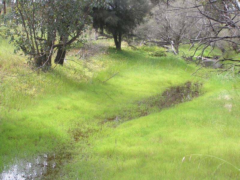 20 ACRES
, great truckie base or animal farm ! Picture 2