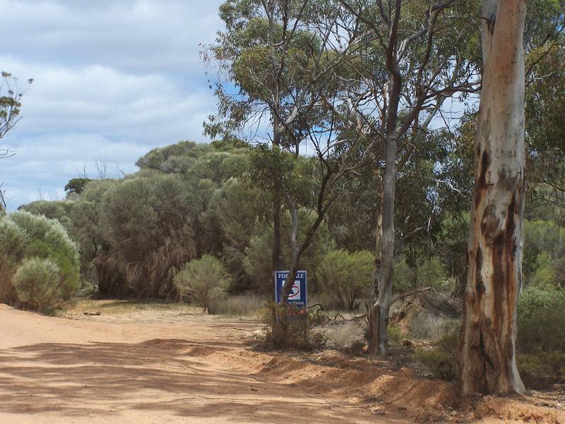 5 ACRE BUSH BLOCK Picture 2