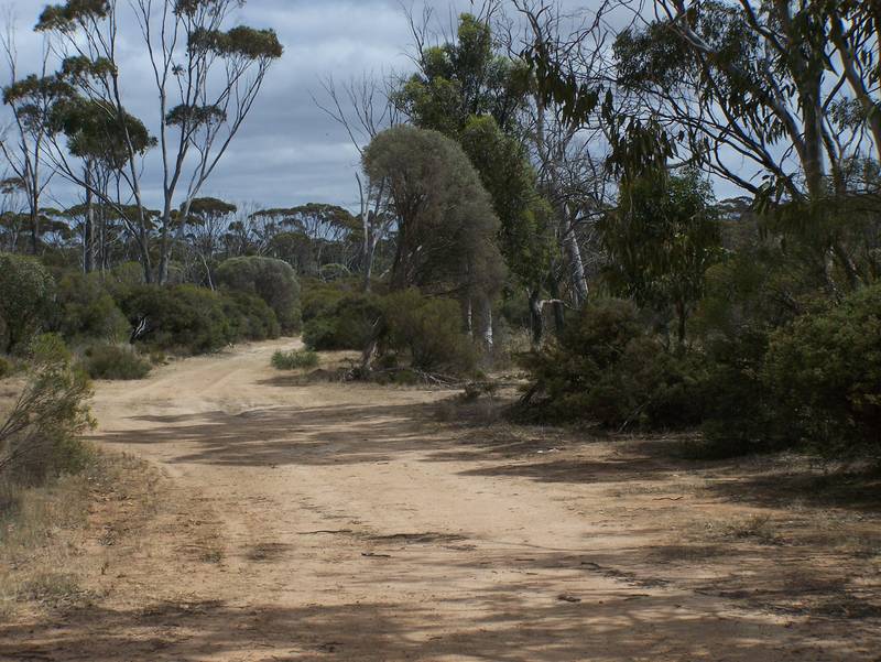 5 ACRE BUSH BLOCK Picture 1